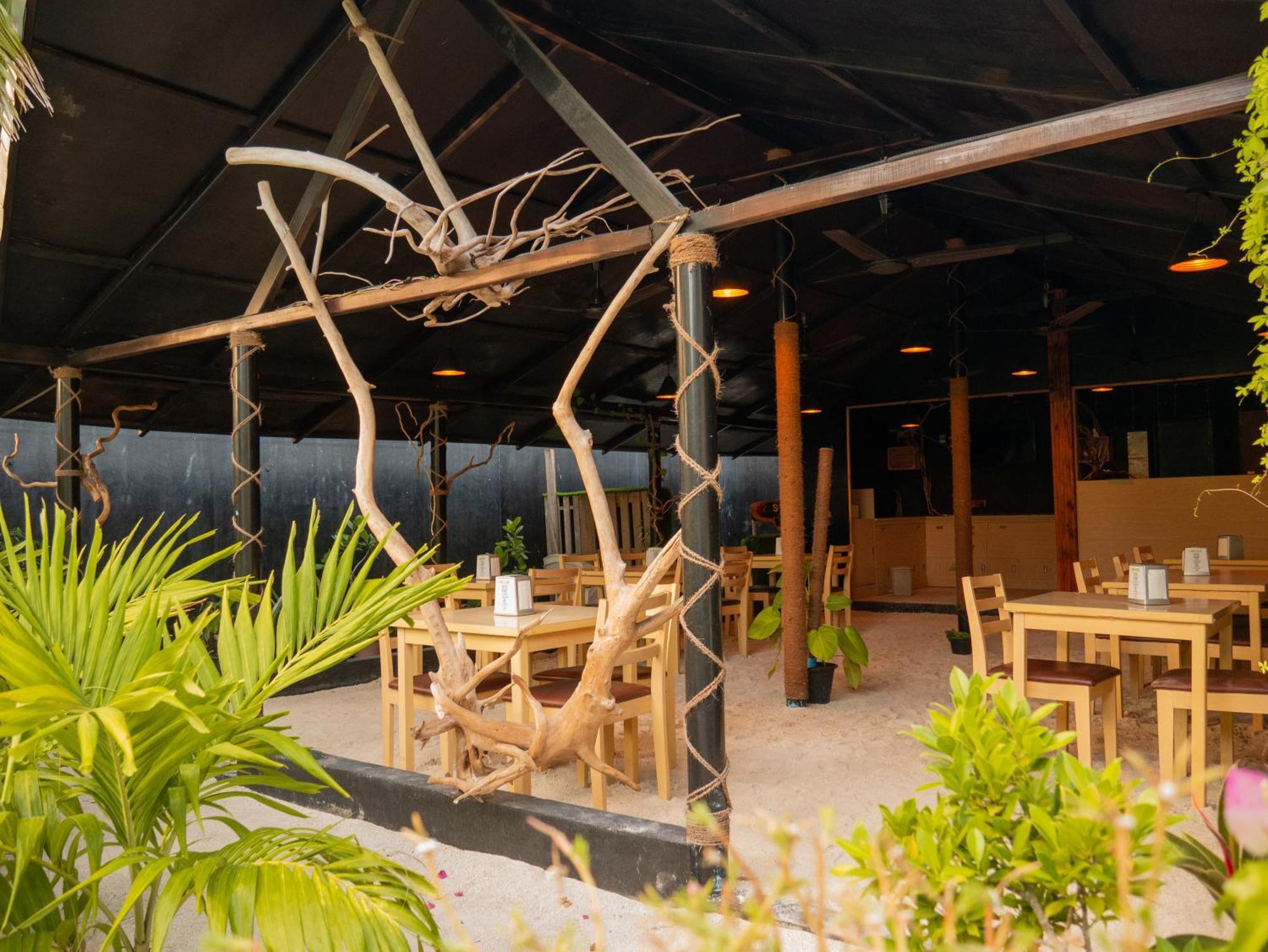 Turtle Maldives - Your Gateway To The Beach & Marine Adventures Await! Omadhoo 外观 照片