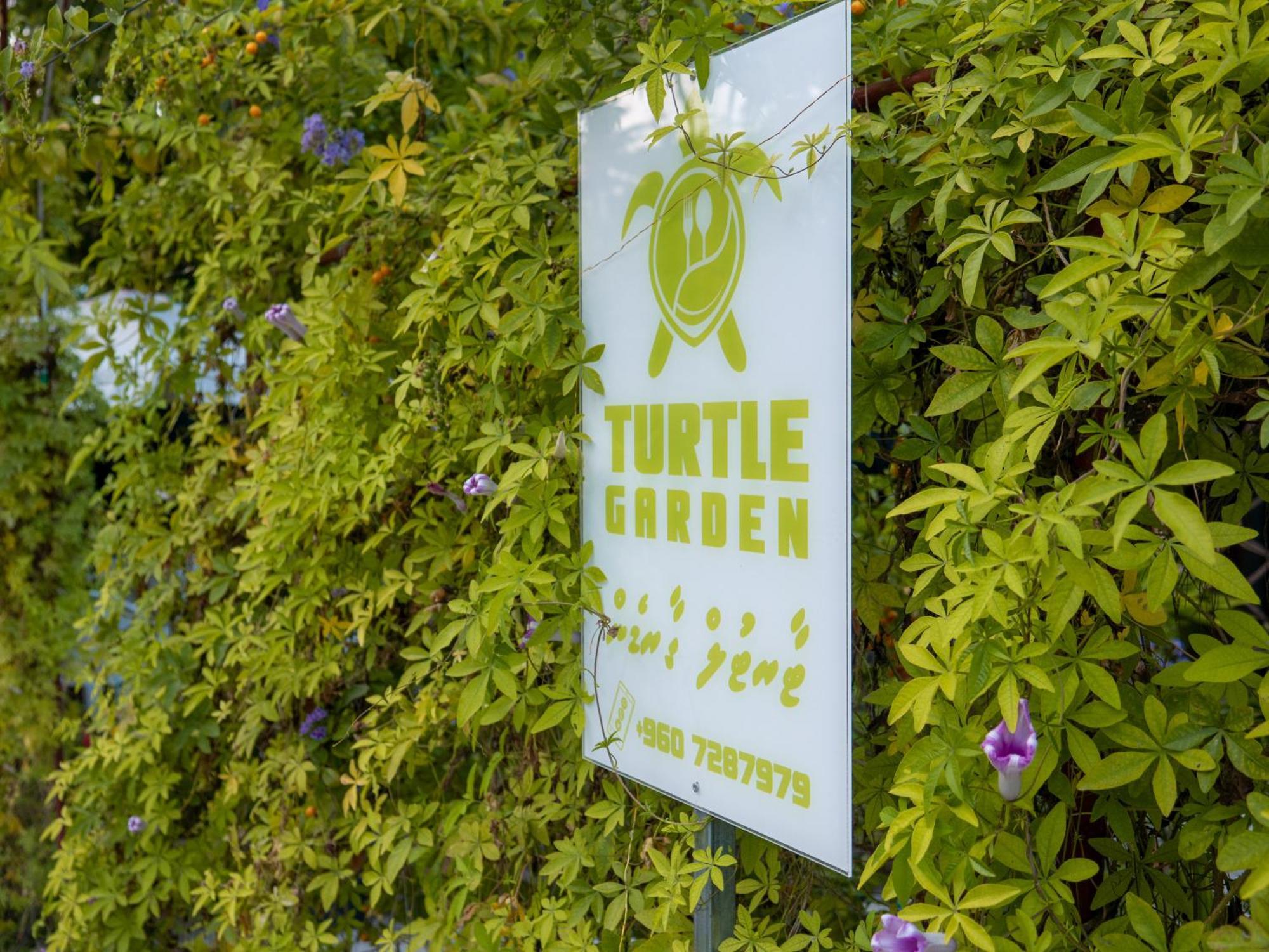 Turtle Maldives - Your Gateway To The Beach & Marine Adventures Await! Omadhoo 外观 照片