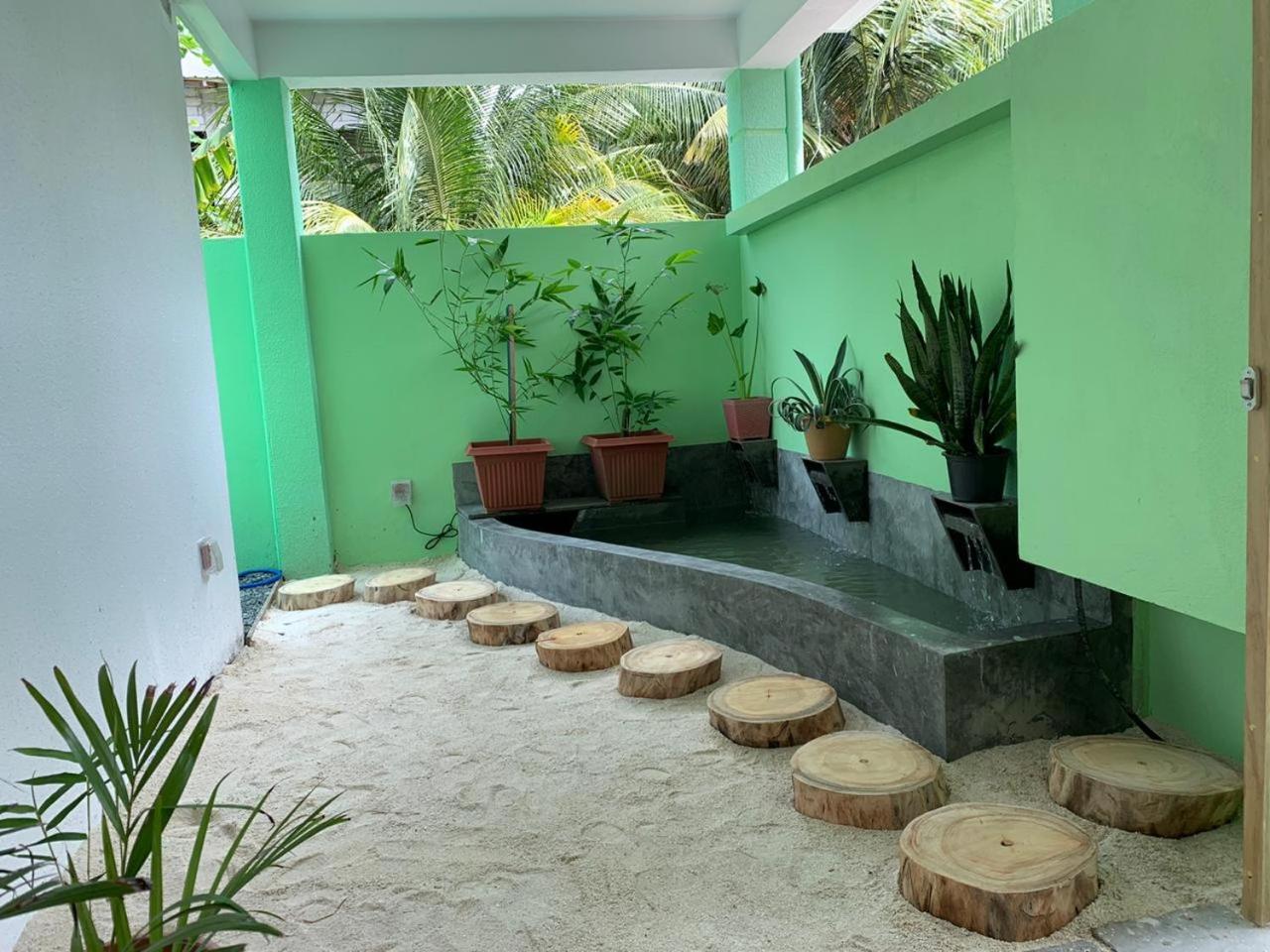 Turtle Maldives - Your Gateway To The Beach & Marine Adventures Await! Omadhoo 外观 照片