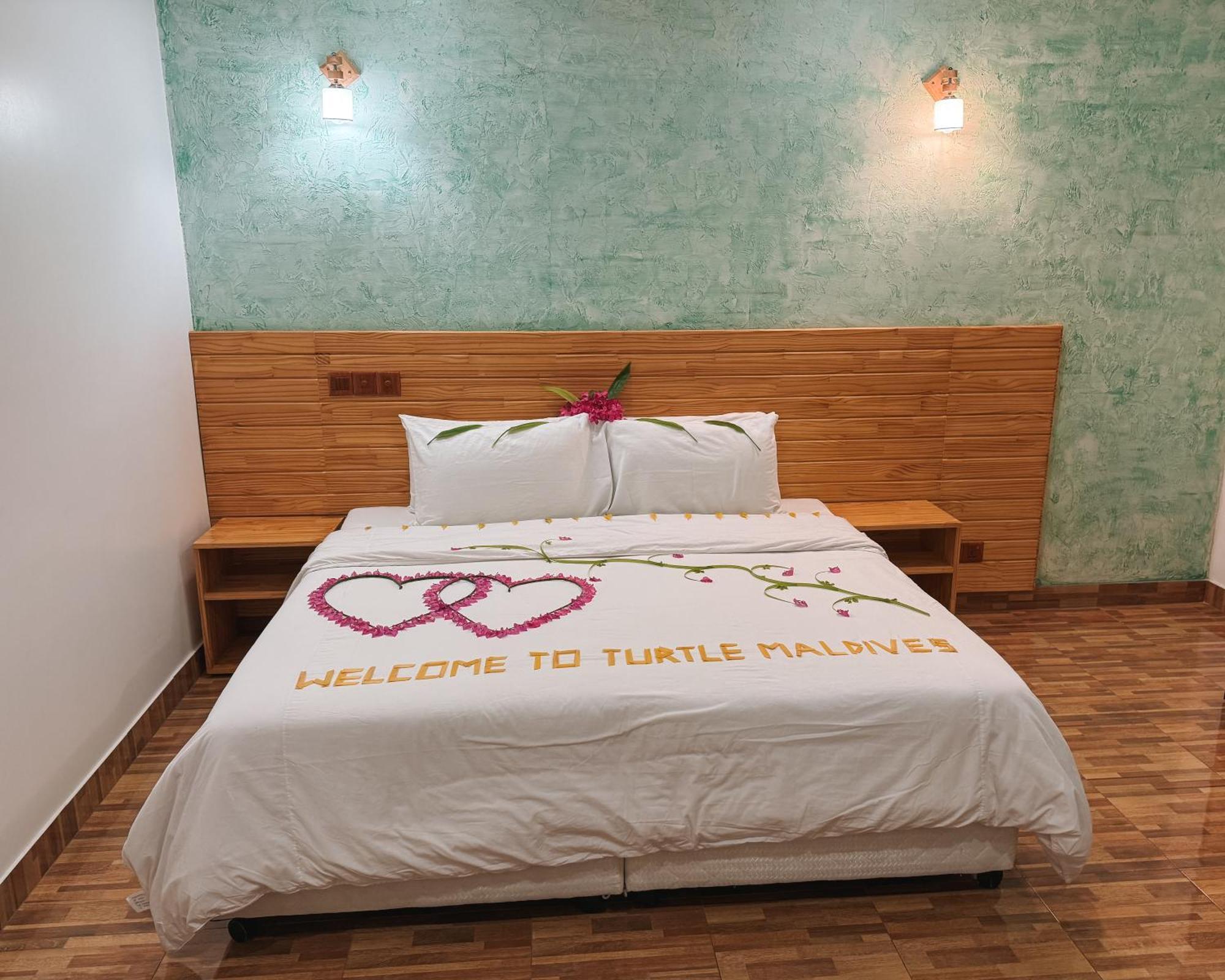 Turtle Maldives - Your Gateway To The Beach & Marine Adventures Await! Omadhoo 客房 照片