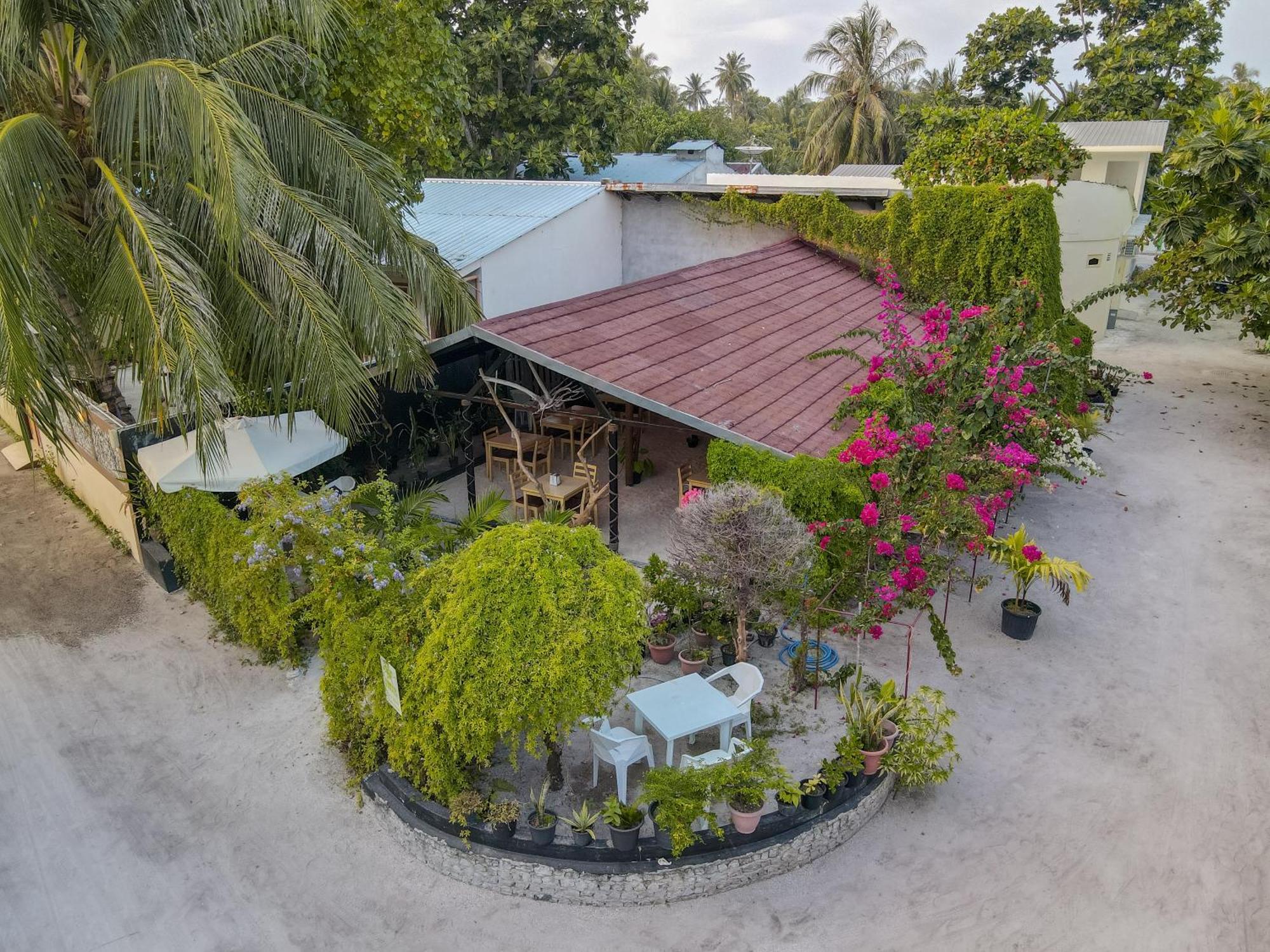 Turtle Maldives - Your Gateway To The Beach & Marine Adventures Await! Omadhoo 外观 照片